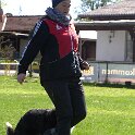 IMG 0678