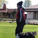 IMG 0679