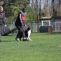 IMG 0685