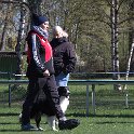 IMG 0690
