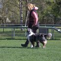 IMG 0693