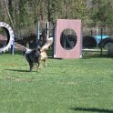 IMG 0698