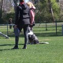 IMG 0703
