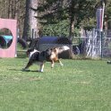 IMG 0718
