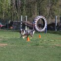 IMG 0720