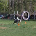 IMG 0721