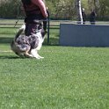 IMG 0726