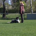 IMG 0728