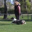 IMG 0733