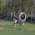 IMG 0739