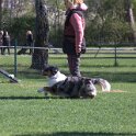 IMG 0746