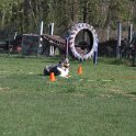 IMG 0753