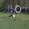 IMG 0754