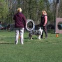 IMG 0755