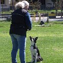 IMG 0756