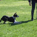 IMG 0764