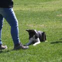 IMG 0768