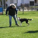 IMG 0777