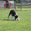 IMG 0786