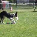 IMG 0787