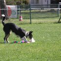 IMG 0788