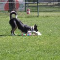 IMG 0789