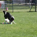 IMG 0791