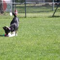 IMG 0792