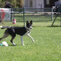 IMG 0795