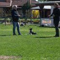 IMG 0817