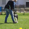 IMG 0819