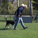 IMG 0826