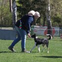 IMG 0828