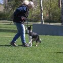 IMG 0830