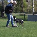 IMG 0831
