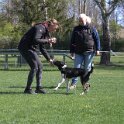 IMG 0838
