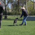 IMG 0841