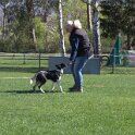 IMG 0842