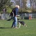 IMG 0851