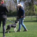 IMG 0859