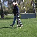IMG 0861