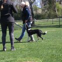 IMG 0862