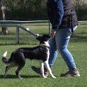 IMG 0863