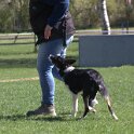 IMG 0866