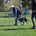 IMG 0872