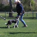 IMG 0885