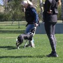 IMG 0886