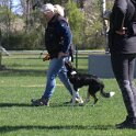 IMG 0887
