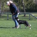IMG 0890