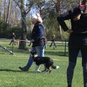 IMG 0892